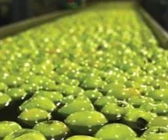 1653988223192513.png 12.png