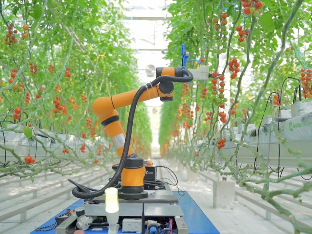 1659578390827559.png 2-1.png