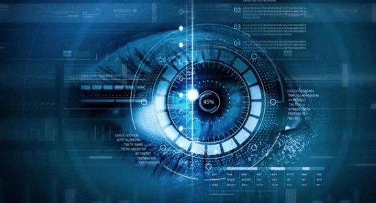 1666075958318956.jpg 5.jpg