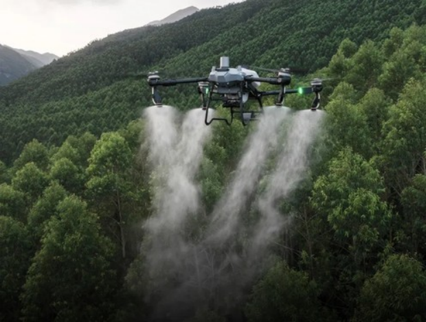 1736932464319413.png image.png