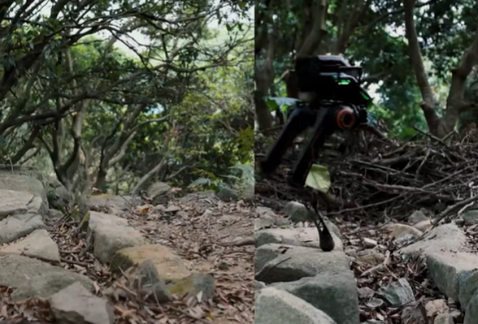 1740122236393950.png image.png