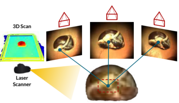 1756371879896209.png image.png