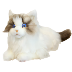 大象机器人 米塔机器猫 metaCat